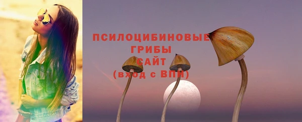спайс Магас