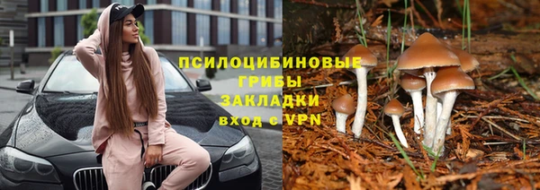 марки lsd Абаза