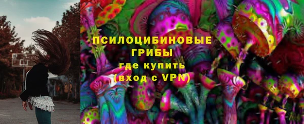 марки lsd Абаза