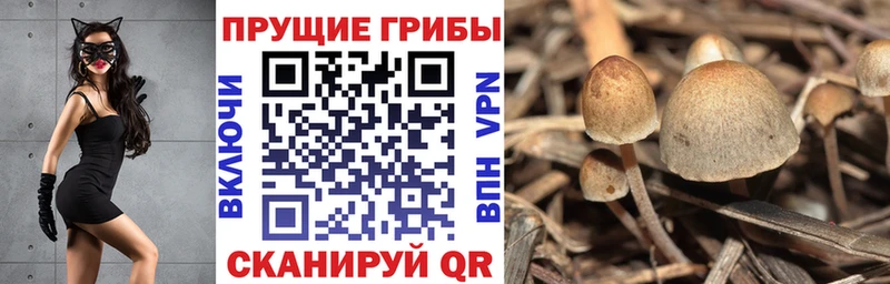 Галлюциногенные грибы Cubensis  Юрюзань 